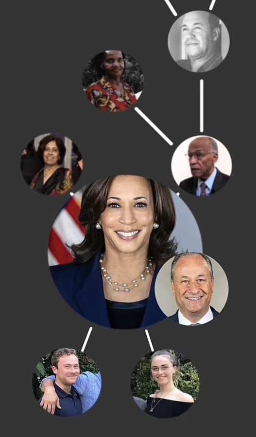 kamala harris family tree